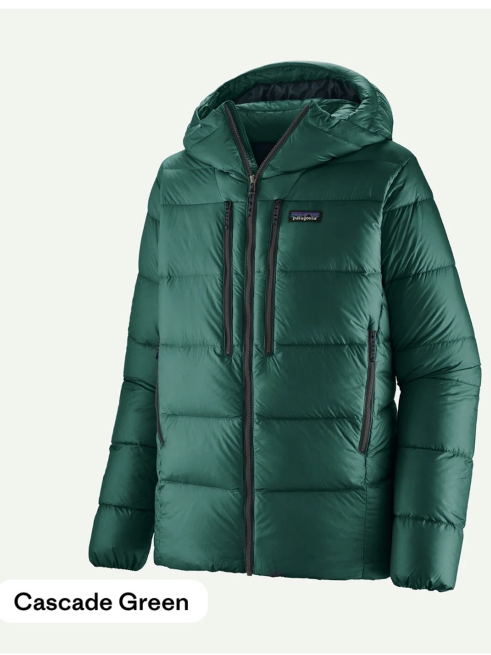 NEW Patagonia Men’s Fitz Roy Down Hoody in Cascade Green Size Medium